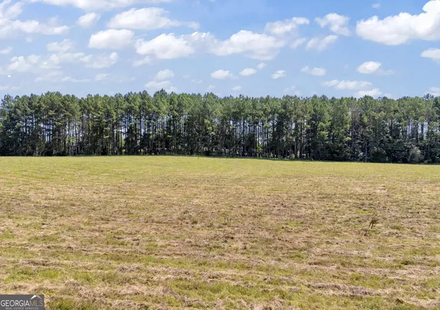 2nd image of 3248 Metasville Rd, Washington, GA 30673 | MLS# 10755920