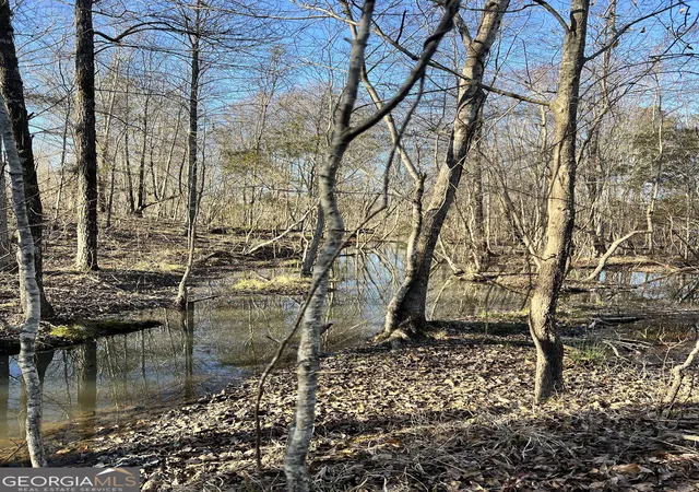 Photo 1 of Land for sale at 0 Crawfordville Rd, White Plains, GA 30678 | MLS# 10684772 | Listing updated on 2026-09-10