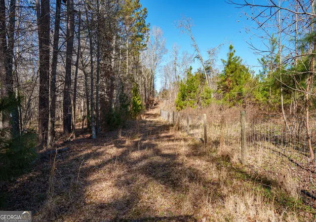 Photo 2 of Land for sale at 0 Crawfordville Rd, White Plains, GA 30678 | MLS# 10684772 | Listing updated on 2026-09-10