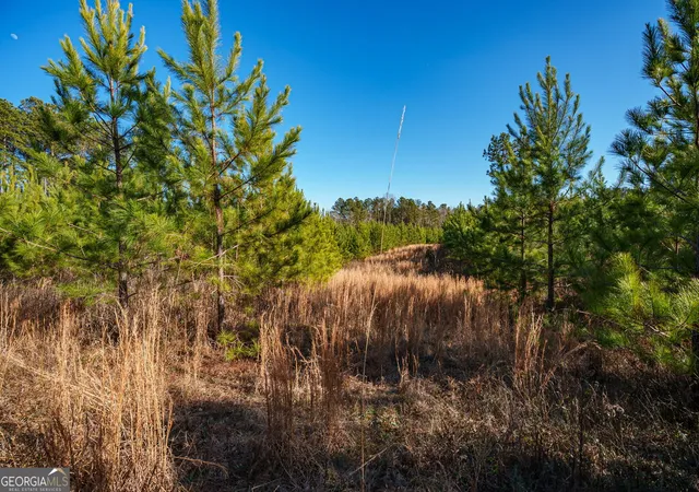 Photo 3 of Land for sale at 0 Crawfordville Rd, White Plains, GA 30678 | MLS# 10684772 | Listing updated on 2026-09-10