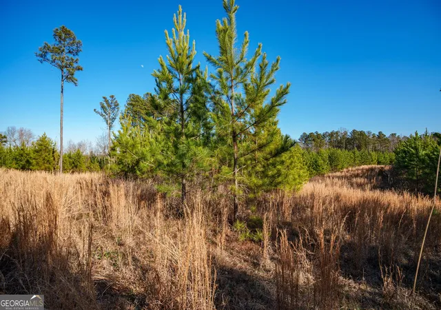 Photo 3 of Land for sale at 0 Crawfordville Rd, White Plains, GA 30678 | MLS# 10684772 | Listing updated on 2026-09-10