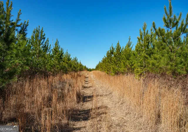 Photo 4 of Land for sale at 0 Crawfordville Rd, White Plains, GA 30678 | MLS# 10684772 | Listing updated on 2026-09-10