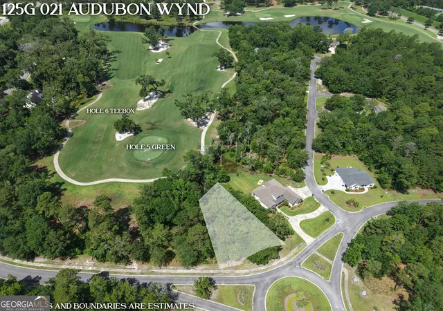 Homes for sale in Waverly, GA | Lot 21 Audubon Wynd, Waverly, GA 31565 | MLS# 10787859