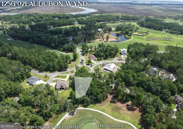 Homes for sale in Waverly, GA | Lot 21 Audubon Wynd, Waverly, GA 31565 | MLS# 10787859