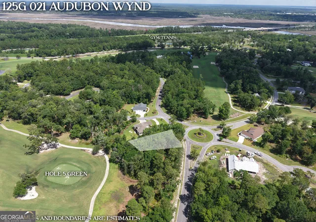Homes for sale in Waverly, GA | Lot 21 Audubon Wynd, Waverly, GA 31565 | MLS# 10787859