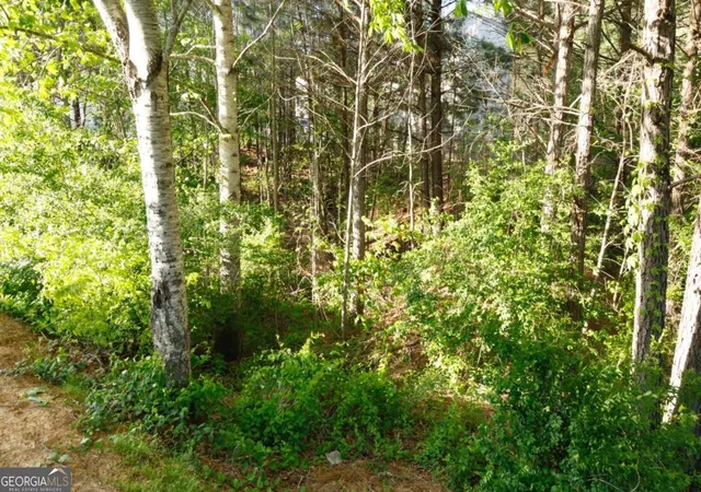 1st image of 0 Hollyhock Ln, Dallas, GA 30132 | MLS# 10805205