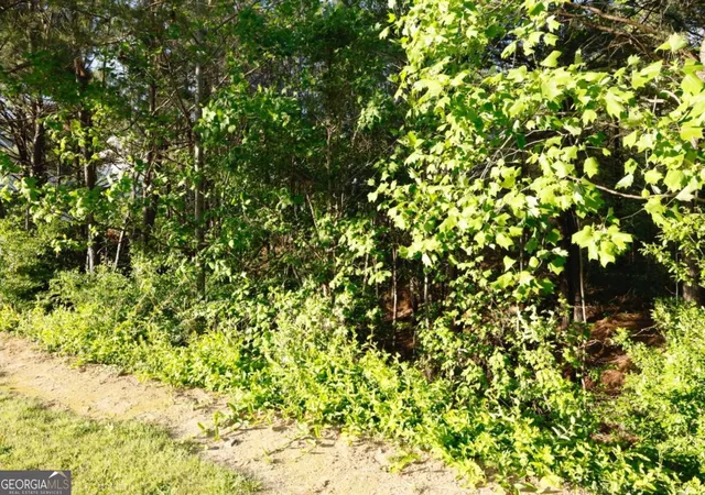 2nd image of 0 Hollyhock Ln, Dallas, GA 30132 | MLS# 10805205