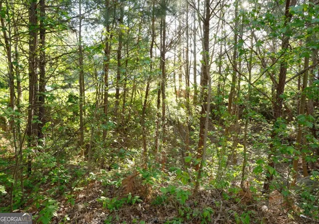 3rd image of 0 Hollyhock Ln, Dallas, GA 30132 | MLS# 10805205