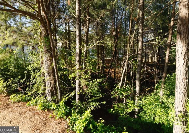 4th image of 0 Hollyhock Ln, Dallas, GA 30132 | MLS# 10805205