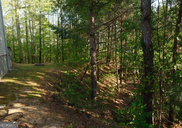 5th image of 0 Hollyhock Ln, Dallas, GA 30132 | MLS# 10805205