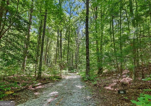 49th image of 252 Navigator Ln, Tiger, GA 30576 | MLS# 10780136