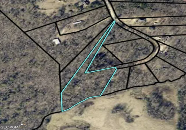 1st image of 0 Rue De Cason May, Carnesville, GA 30521 | MLS# 10830394