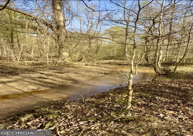 21st image of 000 Double Bridges Rd, Madison, GA 30650 | MLS# 10690874