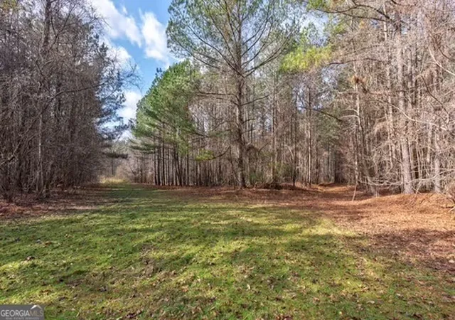 3rd image of 000 Double Bridges Rd, Madison, GA 30650 | MLS# 10690874