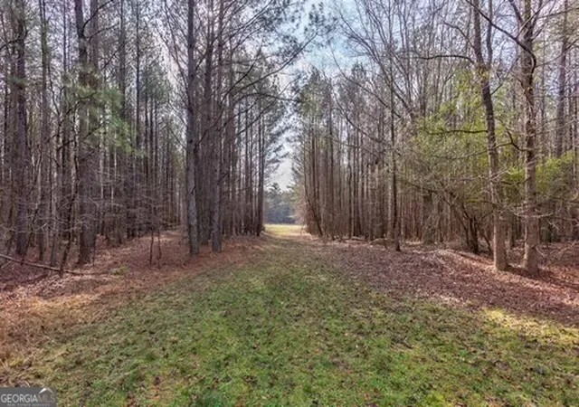 4th image of 000 Double Bridges Rd, Madison, GA 30650 | MLS# 10690874