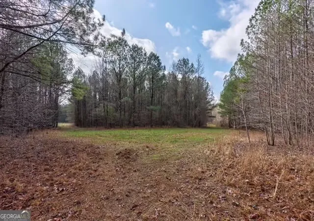 5th image of 000 Double Bridges Rd, Madison, GA 30650 | MLS# 10690874
