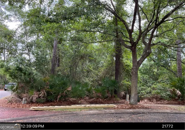 Photo 3 of Land for sale at 703 Wahoo Ct, Saint Marys, GA 31558 | MLS# 10729838 | Listing updated on 2026-04-24