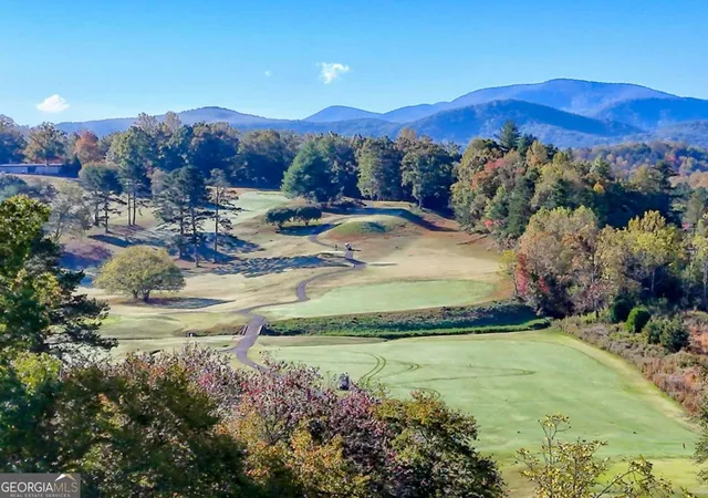 Homes for sale in Blairsville, GA | 103 Birdie Lane Apt 3 B #3-B, Blairsville, GA 30512 | MLS# 10786011