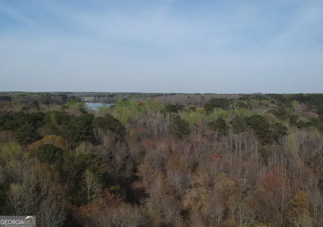 20th image of 0 Cobb Rd, Covington, GA 30014 | MLS# 10713334