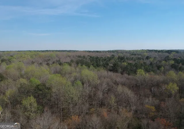 5th image of 0 Cobb Rd, Covington, GA 30014 | MLS# 10713334