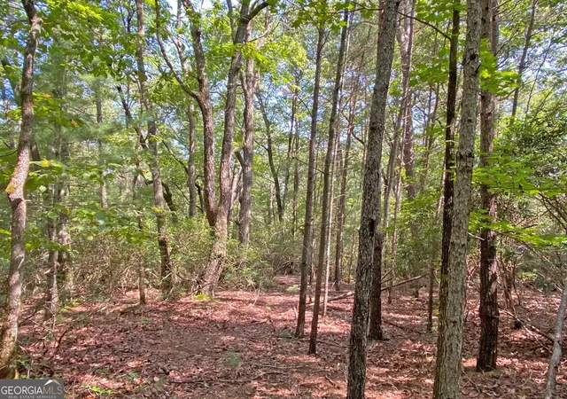 1st image of 1059ac T S Jarrard Road, Dahlonega, GA 30533 | MLS# 10827307