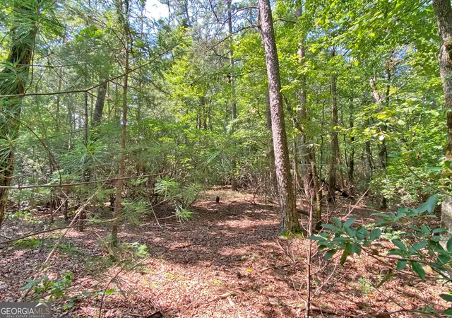 5th image of 1059Ac T S Jarrard Road, Dahlonega, GA 30533 | MLS# 10827307