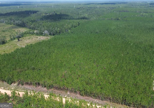 2nd image of Tract 3 Penny Morris Rd, Baxley, GA 31513 | MLS# 10828189