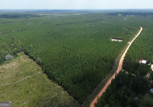 3rd image of Tract 3 Penny Morris Rd, Baxley, GA 31513 | MLS# 10828189