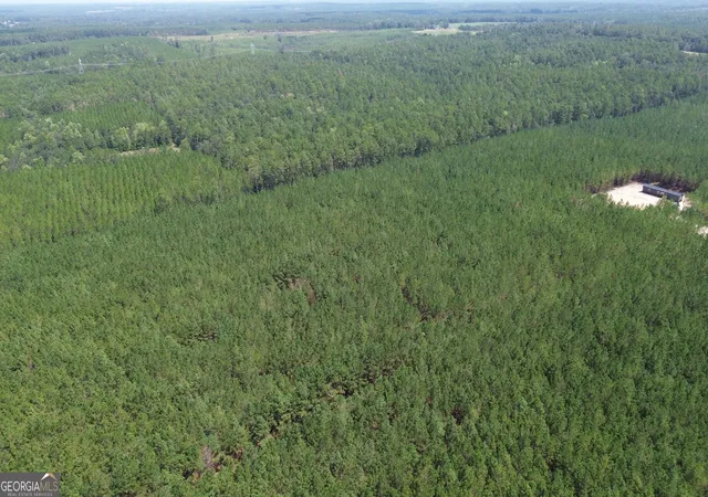 5th image of Tract 3 Penny Morris Rd, Baxley, GA 31513 | MLS# 10828189