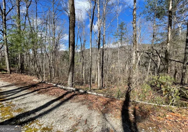 Photo 1 of Land for sale at 0 Bridge Crk Rd, Tiger, GA 30576 | MLS# 10821805 | Listing updated on 2026-09-08