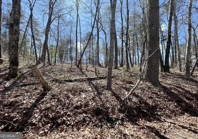 Photo 2 of Land for sale at 0 Bridge Crk Rd, Tiger, GA 30576 | MLS# 10821805 | Listing updated on 2026-09-08
