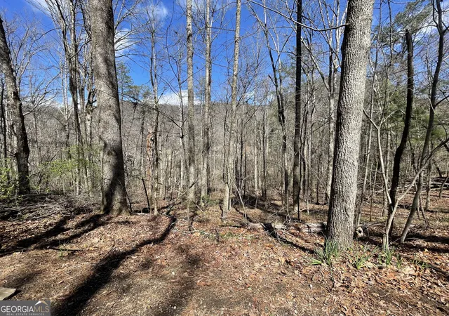 Photo 3 of Land for sale at 0 Bridge Crk Rd, Tiger, GA 30576 | MLS# 10821805 | Listing updated on 2026-09-08