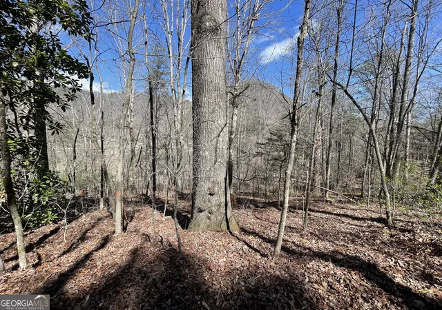 Photo 3 of Land for sale at 0 Bridge Crk Rd, Tiger, GA 30576 | MLS# 10821805 | Listing updated on 2026-09-08