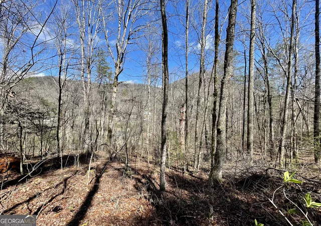Photo 4 of Land for sale at 0 Bridge Crk Rd, Tiger, GA 30576 | MLS# 10821805 | Listing updated on 2026-09-08