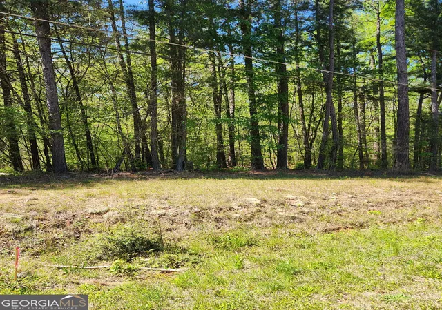 Photo 1 of Land for sale at 674 Lower River Rd, Covington, GA 30016 | MLS# 10730265 | Listing updated on 2026-08-27