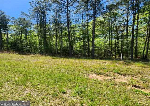 Photo 3 of Land for sale at 674 Lower River Rd, Covington, GA 30016 | MLS# 10730265 | Listing updated on 2026-08-27