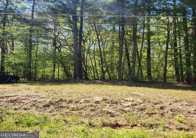 5th image of 674 Lower River Rd, Covington, GA 30016 | MLS# 10730265