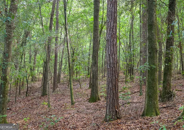 1st image of 201 Ebony Lounge Rd, Milledgeville, GA 31061 | MLS# 10812109