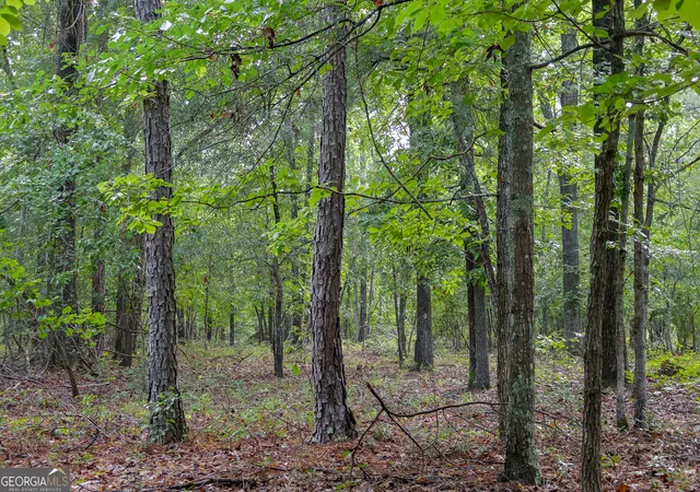 5th image of 201 Ebony Lounge Rd, Milledgeville, GA 31061 | MLS# 10812109