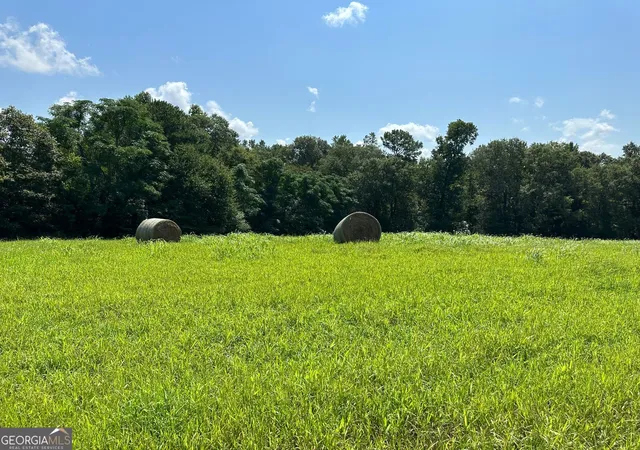 Photo 2 of House for sale at 100Ac Twin Bridges Rd, Eatonton, GA 31024 | MLS# 10307427 | Listing updated on 2026-08-27