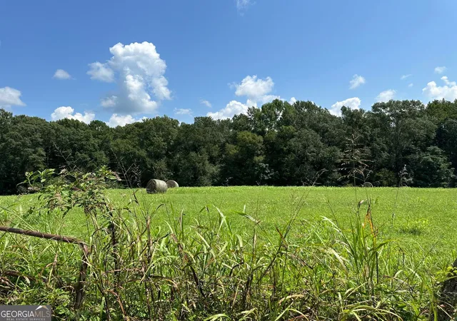 Photo 3 of House for sale at 100Ac Twin Bridges Rd, Eatonton, GA 31024 | MLS# 10307427 | Listing updated on 2026-08-27