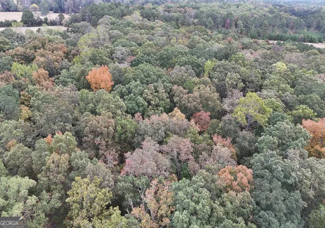 4th image of 12895 Hwy 36, Covington, GA 30014 | MLS# 10753598