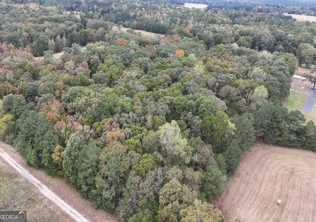 5th image of 12895 Hwy 36, Covington, GA 30014 | MLS# 10753598