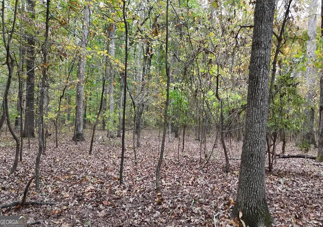 9th image of 12895 Hwy 36, Covington, GA 30014 | MLS# 10753598