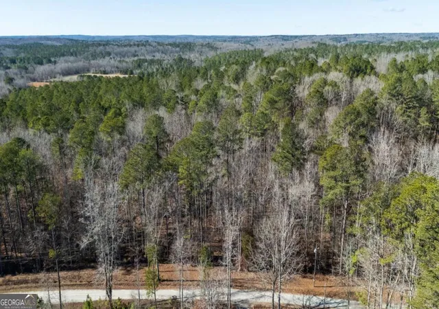 2nd image of 0 Pace Rd, Chattahoochee Hills, GA 30213 | MLS# 10783427
