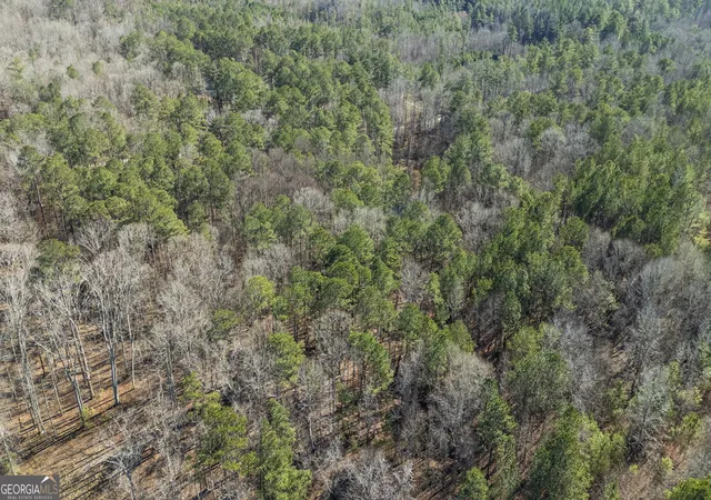 4th image of 0 Pace Rd, Chattahoochee Hills, GA 30213 | MLS# 10783427