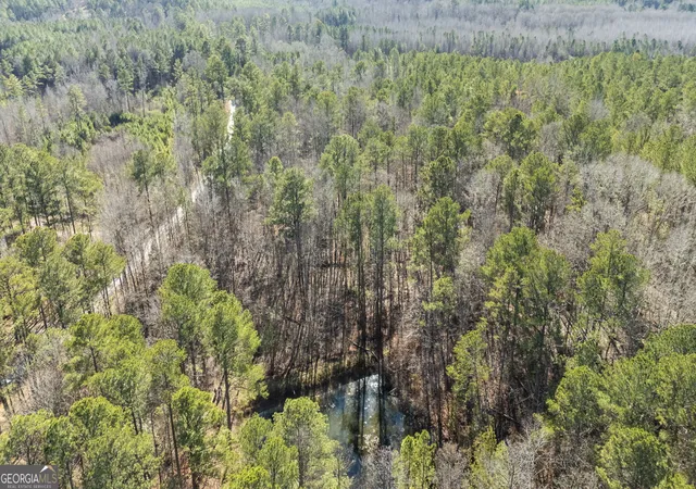 5th image of 0 Pace Rd, Chattahoochee Hills, GA 30213 | MLS# 10783427