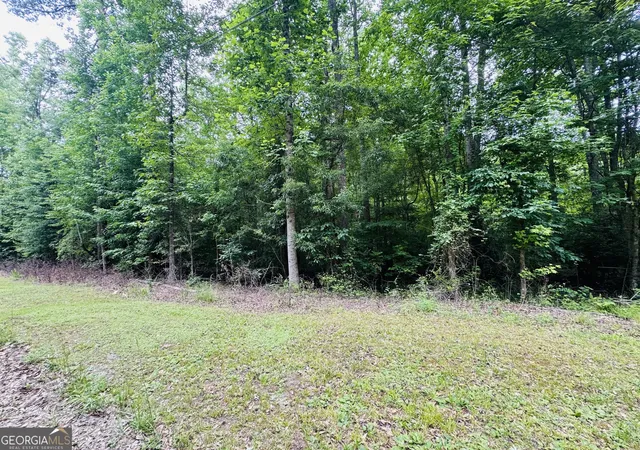 7th image of 0 Pace Rd, Chattahoochee Hills, GA 30213 | MLS# 10783427