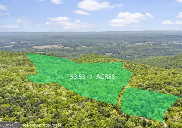 Homes for sale in Menlo, GA | 0 Neals Brow Rd, Menlo, GA 30731 | MLS# 10758019