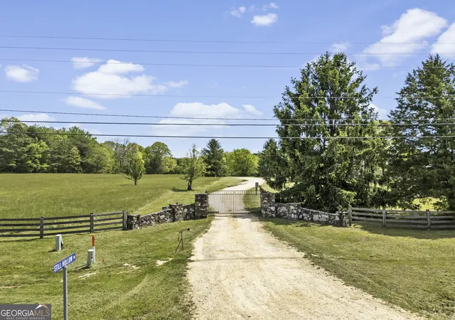 Homes for sale in Menlo, GA | 0 Neals Brow Rd, Menlo, GA 30731 | MLS# 10758019